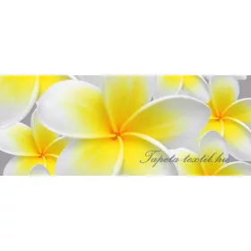 Virágok vlies poszter, fotótapéta 033VEP /250x104 cm/