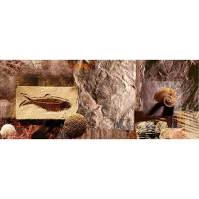   Kövület város vlies poszter, fotótapéta 053VEP /250x104 cm/