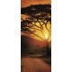 Afrika öntapadós poszter, fotótapéta 055SKT /91x211 cm/
