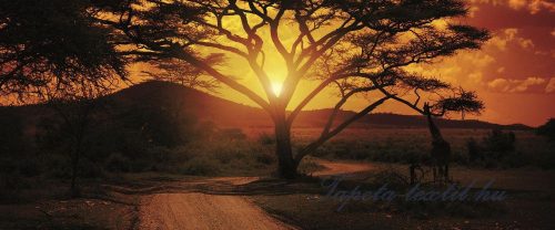 Afrika poszter, fotótapéta 055VEP /250x104 cm/