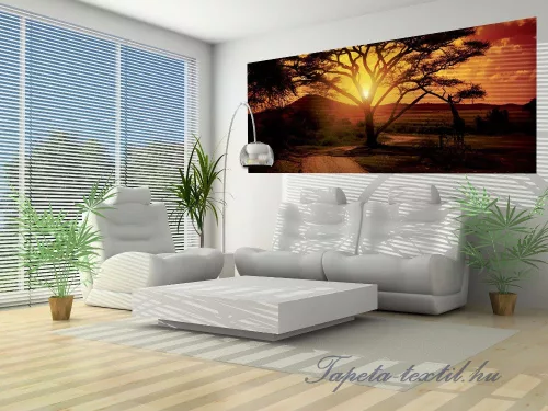 Afrika poszter, fotótapéta 055VEP /250x104 cm/