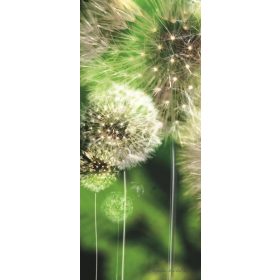   Pitypang öntapadós poszter, fotótapéta 056SKT /91x211 cm/