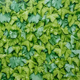 Gekkofix LEAVES öntapadós tapéta 45 cm x 2 m