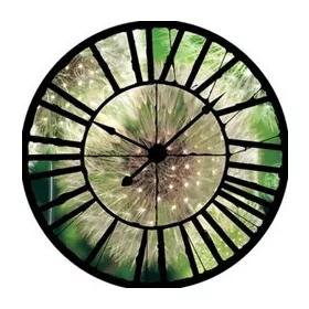   Pitypang az óra mögött vlies poszter, fotótapéta 10221VEZ1 /208x208 cm/