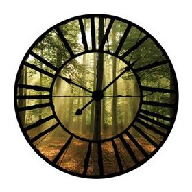   Erdő az óra mögött vlies poszter, fotótapéta 10331VEZ1 /208x208 cm/