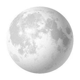 Hold vlies poszter, fotótapéta 10469VEZ1 /208x208 cm/