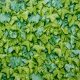 Gekkofix LEAVES öntapadós tapéta 90 cm x 2 m