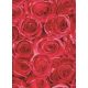 Gekkofix ROSES öntapadós tapéta 45 cm x 2 m