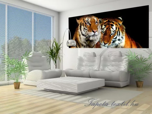 Tigrisek poszter, fotótapéta 130VEP /250x104 cm/