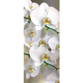 Virág minta vlies poszter, fotótapéta 1304VET /91x211 cm/