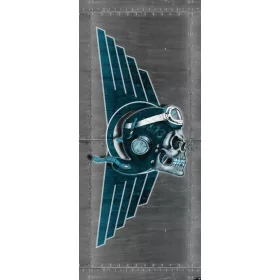 Koponya vlies poszter, fotótapéta 1349VET /91x211 cm/