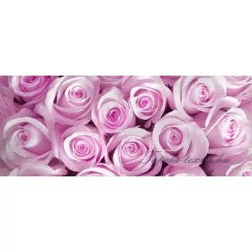 Rózsák poszter, fotótapéta 142VEP /250x104 cm/