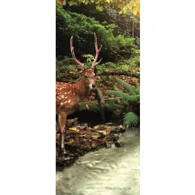 Őz vlies poszter, fotótapéta 147VET /91x211 cm/