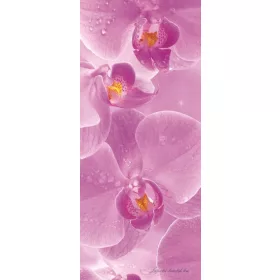   Orchidea öntapadós poszter, fotótapéta 149SKT /91x211 cm/