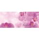 Orchideák vlies poszter, fotótapéta 149VEP /250x104 cm/