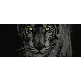 Tigris poszter, fotótapéta 153VEP /250x104 cm/