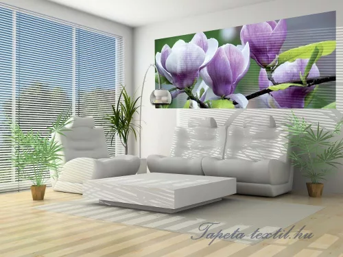 Magnolia poszter, fotótapéta 160VEP /250x104 cm/