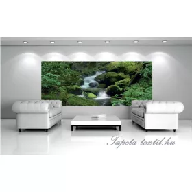 Erdei patak poszter, fotótapéta 163VEP /250x104 cm/