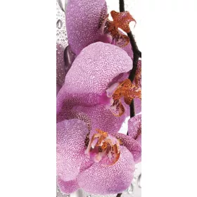 Orchidea vlies poszter, fotótapéta 184VET /91x211 cm/