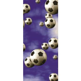   Futball labda vlies poszter, fotótapéta 187VET /0,91x211 cm/