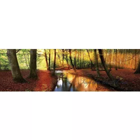  Őszi erdő vlies poszter, fotótapéta 2018VEEXXXL /832x254 cm/