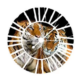   Tigrisek az óra mögött vlies poszter, fotótapéta 21403VEZ1 /208x208 cm/
