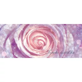 Rózsa vlies poszter, fotótapéta 2157VEP /250x104 cm/