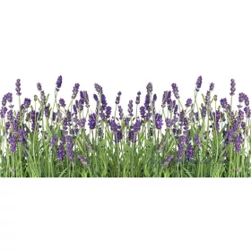 Levendula vlies poszter, fotótapéta 2174VEP /250x104 cm/