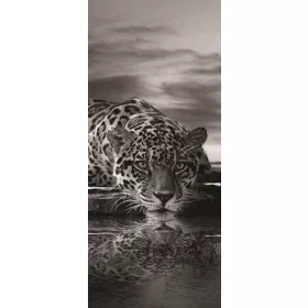 Jaguár öntapadós poszter, fotótapéta 218SKT /91x211 cm/