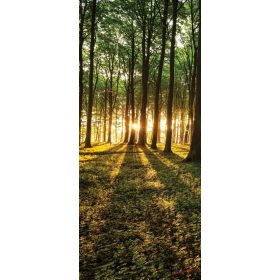 Erdő öntapadós poszter, fotótapéta 2225SKT /91x211 cm/