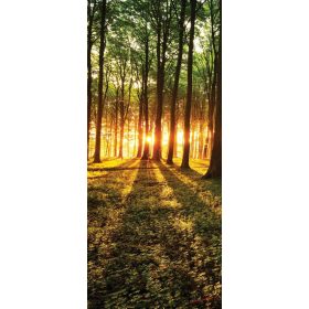 Erdő öntapadós poszter, fotótapéta 2226SKT /91x211 cm/