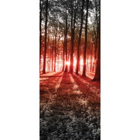 Erdő vlies poszter, fotótapéta 2227VET /91x211 cm/