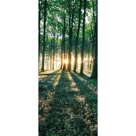 Erdő vlies poszter, fotótapéta 2228VET /91x211 cm/
