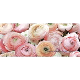 Rózsák poszter, fotótapéta 2297VEP /250x104 cm/
