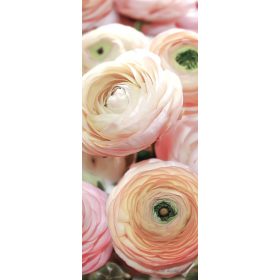 Rózsák vlies poszter, fotótapéta 2297VET /91x211 cm/