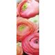 Rózsák öntapadós poszter, fotótapéta 2298SKT /91x211 cm/