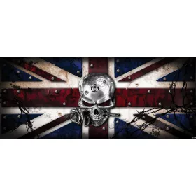 Koponya vlies poszter, fotótapéta 2376VEP /250x104 cm/