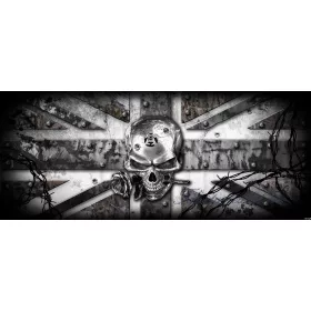 Koponya vlies poszter, fotótapéta 2377VEP /250x104 cm/