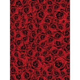 Rózsák vlies poszter, fotótapéta 2390VE-A /206x275 cm/