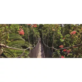 Híd poszter, fotótapéta 250VEP /250x104 cm/