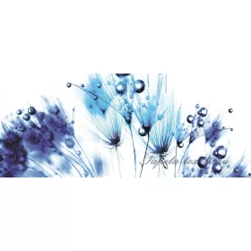 Pitypang poszter, fotótapéta 258VEP /250x104 cm/