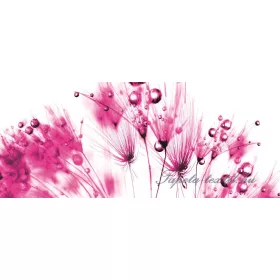 Pitypang poszter, fotótapéta 259VEP /250x104 cm/