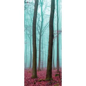 Erdő öntapadós poszter, fotótapéta 2657SKT /91x211 cm/