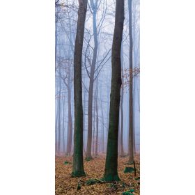 Erdő öntapadós poszter, fotótapéta 2658SKT /91x211 cm/