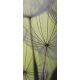 Pitypang öntapadós poszter, fotótapéta 271SKT /91x211 cm/