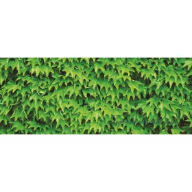 Borostyán poszter, fotótapéta 279VEP /250x104 cm/