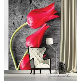 Tulipánok vlies poszter, fotótapéta 282VE-A /206x275 cm/