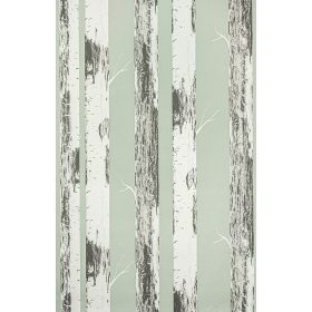Zöld alapon nyirfa mintás tapéta (285413)