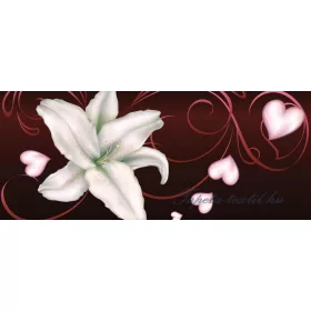 Lily vlies poszter, fotótapéta 298VEP /250x104 cm/