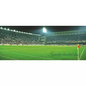 Stadion poszter, fotótapéta 306VEP /250x104 cm/